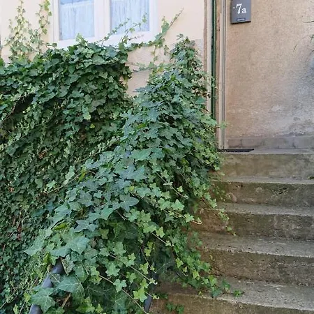 Appartement Oliva *